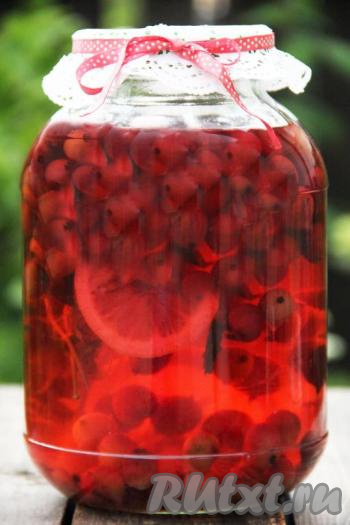 Вот такой красивый, очень вкусный и ароматный компот "Мохито" из крыжовника с мятой и лимоном получился. Такой напиток станет украшением зимних дней и непременно понравится всей семье!