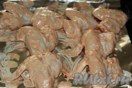 На противень, застеленный фольгой (или смазанный растительным маслом), выложить крылышки в маринаде.
