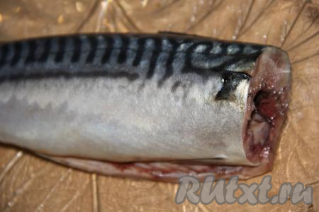 Скумбрию промыть под водой, отрезать хвост, плавники и голову, а затем удалить из брюшка внутренности и чёрную плёнку, ещё раз промыть рыбку.