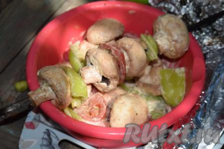 Далее разжигаем костер и ждём, пока прогорят все дрова, оставляя хорошие горячие угли. Открытый огонь нам не нужен, поэтому следим за костром, если необходимо, то заливаем чистой водой открытое пламя. Нанизываем шашлык из овощей и шампиньонов на шампуры, чередуя овощи и грибы между собой.
