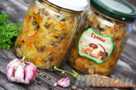 Вот такая аппетитная соляночка получилась. Приготовьте вкусную, в меру остренькую грибную солянку с капустой по этому рецепту и тогда зимой у вас на столе будет замечательная закуска, которую можно подать и к картошечке, и к мясу, да и ко многим другим блюдам!
