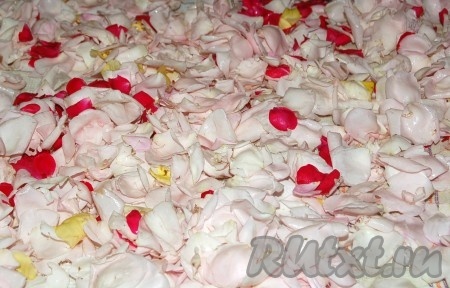 Разложить лепестки роз для просушки. Для этого расстелить чистые полотенца на столе и на них разложить лепестки тонким слоем.