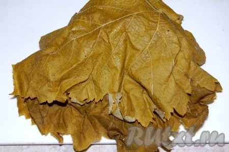 Рецепт долмы из виноградных листьев с фото по шагам в домашних