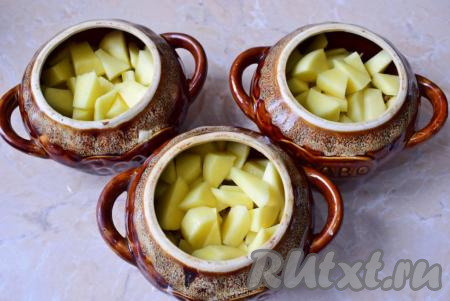 Картофель очистите, ополосните, нарежьте небольшими кусочками, посолите и сразу добавьте в горшочки.