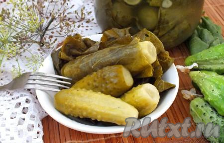Огурцы, завёрнутые в листья хрена, на зиму