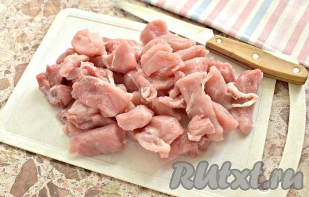 Промываем кусок свинины. Нарезаем мясо на небольшие кубики или бруски.