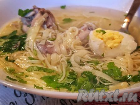 Прозрачный, ароматный и вкусный суп с курицей и домашней лапшой к столу подать в горячем виде.