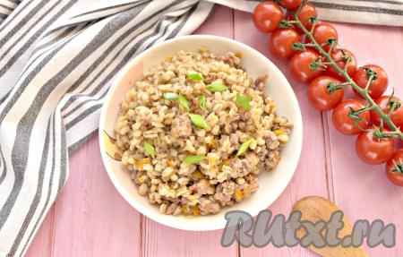Вкусная, аппетитная, сытная каша из перловки с фаршем готова, раскладываем её по тарелкам и подаём к столу. Уверена это простое блюдо, приготовленное в мультиварке, полюбится многим!