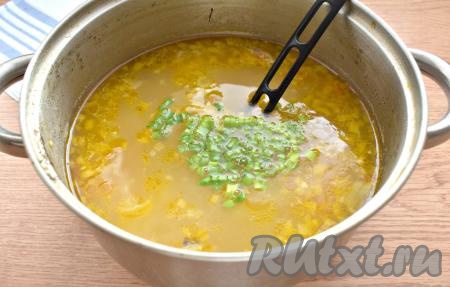 В конце приготовления щи сдабриваем по вкусу чёрным молотым перчиком, добавляем измельчённый зелёный лук (или укроп, петрушку). Если нужно, досаливаем по вкусу, провариваем пару минут и снимаем с огня.