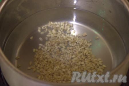Я для сытности в рассольник добавила перловку, но если у вас её нет или вы не любитель этой крупы, то можете этот шаг пропустить и просто вскипятить в кастрюле 2,5-3 литра воды. Если же вы будете готовить с перловкой, тогда нужно хорошо промыть крупу под проточной водой, залить полностью холодной водой и оставить для набухания (лучше всего оставить для набухания на ночь, но если время не позволяет, оставьте на 40-50 минут). Набухшую перловку нужно хорошо промыть под проточной водой, переложить в кастрюлю, влить к крупе 2,5-3 литра чистой холодной воды и поставить на огонь. Варить перловку после закипания воды 15-20 минут на небольшом огне.