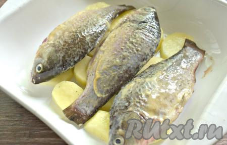 На картошку кладём замаринованных карасей.