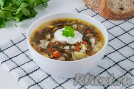 Зелёный борщ со щавелем и яйцами