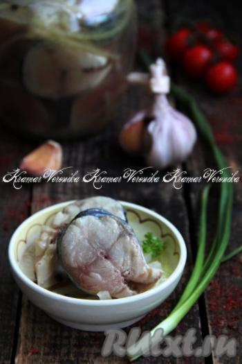 Малосольная скумбрия кусочками в рассоле с луком