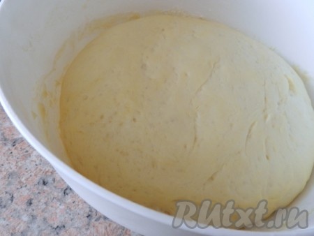Подошедшее тесто увеличится в объеме в два раза. Тесто готово для выпечки. Из него можно приготовить дрожжевые булочки, пирожки с любой начинкой. Я испекла один пирог с яблоками.