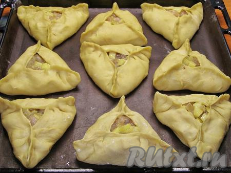 Перекладываем подготовленные эчпочмаки с курицей и картошкой на противень, застеленный ковриком (или бумагой) для выпечки, на небольшом расстоянии друг от друга. По желанию, каждый пирожок можно смазать яичным желтком.