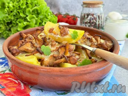 Лисички с картошкой в сметане в духовке