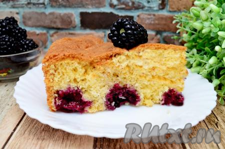 Шарлотка с ежевикой