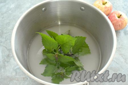 Хорошо промываем проточной водой веточки свежей мяты. В кастрюлю с сахаром и лимонной кислотой выкладываем веточки мяты, вливаем 300 миллилитров воды, ставим на сильный огонь. 