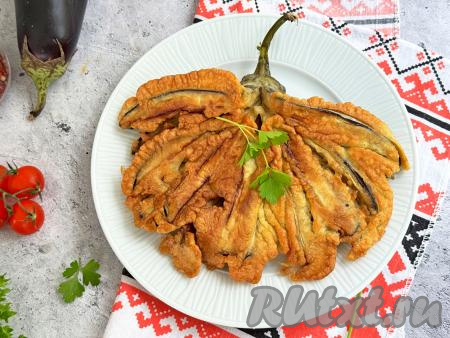 Готовый аппетитный веер из баклажана, покрытый кляром, переложить со сковороды на тарелку. Аналогично пожарить ещё 2 веера. Вкусные, красивые, достаточно сытные баклажаны, жареные веером, можно подать в качестве основного блюда, дополнив гарниром, или в качестве гарнира к мясу, птице. 