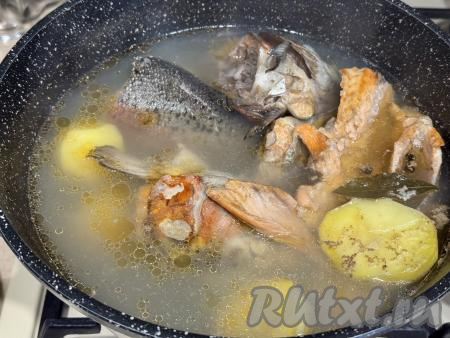 После закипания воды уменьшить огонь, снять пену, варить уху из форели минут 30 (до готовности картофеля, он должен стать мягким, легко прокалываться вилкой).&nbsp;