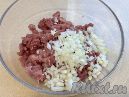 Выложить нарезанные свинину и лук в глубокую миску.
