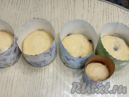 Разделив тесто на части, разложить его по формам, заполняя формы на 1/3 объёма. Я раскладывала по бумажным формам, поэтому предварительно их маслом не смазывала. У меня получились 4 средних кулича и один мини-кулич.