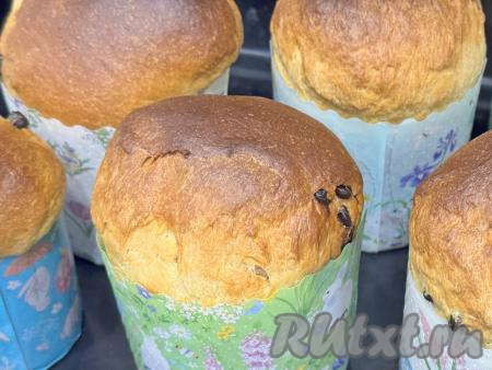 Выпекать куличи с шоколадными каплями при температуре 180 градусов минут 35-40. Маленький куличик будет готов чуть раньше (минут через 25-30).&nbsp;Если во время выпечки верх куличей станет сильно румяниться, а сами куличики ещё не будут готовы, тогда накройте сверху куличи пергаментной бумагой. Готовность куличей проверяйте сухой деревянной шпажкой, для этого нужно сделать прокол кулича в середине до дна. Если деревянная шпажка после прокалывания кулича будет сухой и чистой, без следов теста, значит куличи готовы, нужно доставать их из духовки.