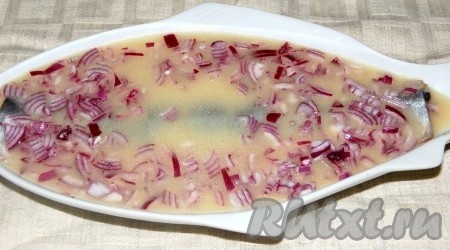 Селедка в томатном соусе с луком рецепт с фото пошагово
