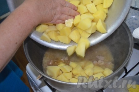 Картофель порезать небольшими ломтиками, добавить к мясу, плиту выключить. Налить в казан воду, чтобы она покрывала картофель.