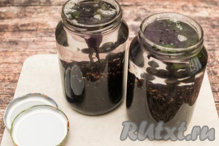 Вскипятить в чайнике 1,6 литра воды. В банки с чёрной смородиной и базиликом влить кипящую воду, заполняя баночки до самого верха.