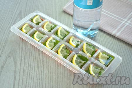 Формочки для льда с мелиссой и лимоном заливаем питьевой водой, полностью покрывая лимоны, и отправляем в морозилку на несколько часов (до полного замораживания кубиков льда).