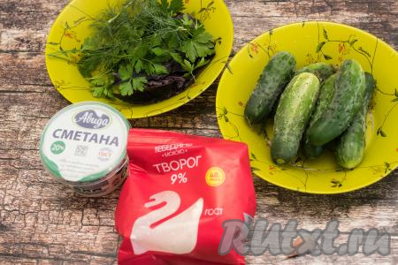 Подготовить продукты для приготовления салата из огурцов с творогом и зеленью. Сметану и творог можно взять любой жирности (я использовала сметану жирностью 20%, творог - жирностью 9%). Зелень для этого салата выбирайте любую, подойдёт петрушка, укроп, базилик, кинза, руккола или шпинат. Я взяла петрушку, укроп и фиолетовый базилик.