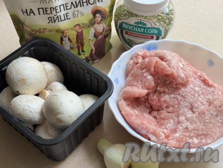 Подготовить продукты для приготовления гнёзд из фарша с грибами и сыром в аэрогриле. Шампиньоны промыть водой. Лук почистить. Мясной фарш можно приготовить в домашних условиях, пропустив кусочек мяса (у меня - свинина) через мясорубку в миску. При желании вы можете использовать и покупной фарш.