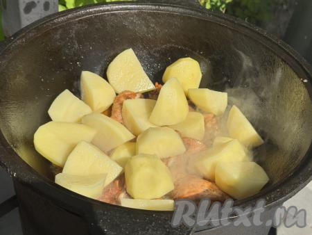 Картошку почистить, крупно нарезать, выложить в казан поверх курицы с луком.