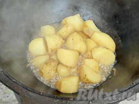 Накрыть казан крышкой и готовить молодую картошку минут 15 на костре на медленном огне. Во время приготовления картофель можно не перемешивать.