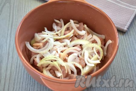 Очищаем лук и морковь. Поверх мяса равномерно выкладываем лук, нарезанный тонкими полукольцами.