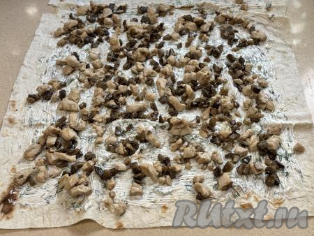 Поверх смазанной части лаваша равномерно распределить начинку из курицы и грибов.