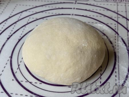 Поднявшееся тесто выложить на рабочую поверхность, присыпанную мукой, и обмять.