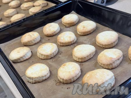 Выпекать сметанные пряники в духовке, разогретой до 180 градусов, минут 20 (до лёгкого подрумянивания сверху). Готовую выпечку достать из духовки. Аналогично испечь оставшиеся пряники.