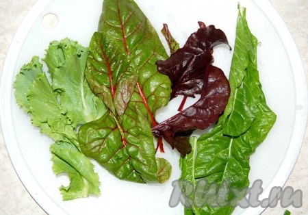 Приготовить листовой салат. Я использовала обычный листовой салат, красный мангольд, зеленый мангольд и листья молодой свеклы.
