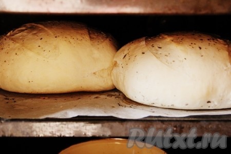 Подошедшее тесто отправить в разогретую духовку на нижний уровень, выпекать 15 минут при температуре 250 градусов, затем поднять хлеб на верхний уровень и выпекать 40 минут при температуре 150 градусов, периодически взбрызгивая хлеб водой.