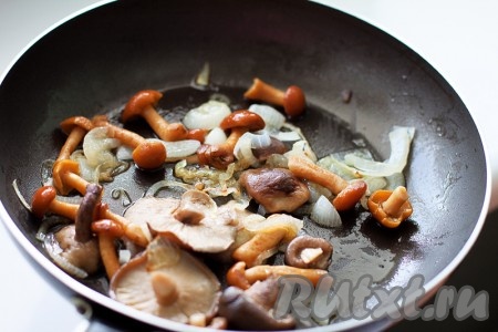 Нарежьте лук полукольцами и обжарьте на оливковом масле. Затем добавьте к луку грибы, предварительно обмытые водой, и обжарьте еще немного (можно использовать свежие грибы).