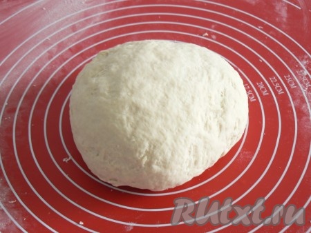 Замесить гладкое тесто, сформовать его в шар, переложить в миску и убрать в теплое место на 1 час.
