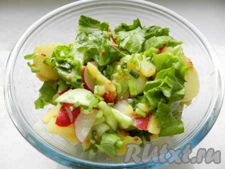 Влить в овощной салат горчично-медовую заправку, перемешать и дать настояться 10 минут.