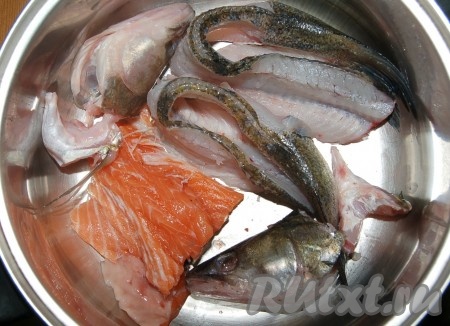 Промыть рыбьи отходы - головы, хребты. Залить их холодной водой и поставить вариться. Довести до кипения, уменьшить огонек и варить 45 минут на маленьком огоньке.