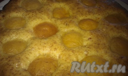 На 35 минут поставьте форму в горячую духовку. Затем извлеките готовый пирог с абрикосами.
