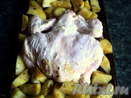 Выложить курицу на смазанный растительным маслом противень, по бокам разложить картошку. Запекать в разогретой духовке 1 час при температуре 200 градусов.