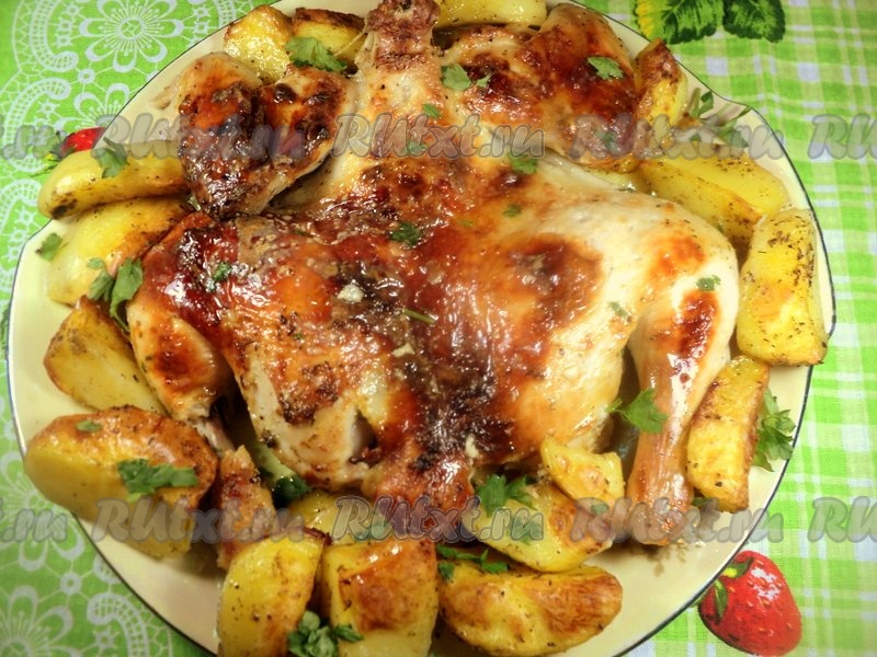 Курица запеченная на противне в духовке: рецепт с картошкой пошаговый с фото