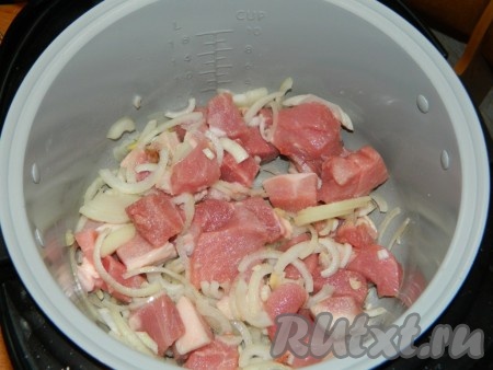 Свинину режем на кусочки, смешиваем с луком и чесноком, немного солим, кладём в мультиварку и ставим на "Тушение" на 50 минут.
