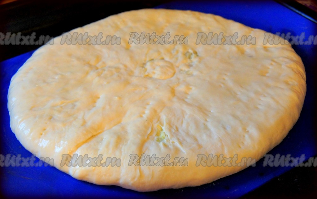Пирог с капустой и яйцом из дрожжевого теста в духовке рецепт с фото